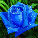 ���� ����, ���� - ��������� 25 ������ 2016 � ������ ������ ��������