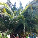 ���� ��������, ����, 55 ��� - ��������� 16 ������� 2016 � ������ �߻