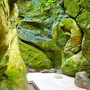 ���� Sveta, ������������, 62 ���� - ��������� 12 ����� 2017 � ������ ���� ����������
