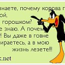 ���� ������, ���������, 45 ��� - ��������� 31 ������� 2016 � ������ ���� ����������