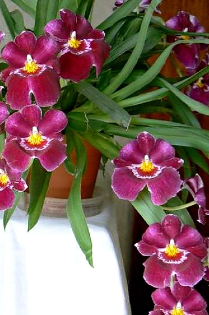    ,      ,       , ...