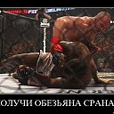 ���� �����, ���������, 42 ���� - ��������� 23 �������� 2016 � ������ ����