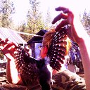 ���� �����, ������, 45 ��� - ��������� 26 �������� 2016 � ������ �������� 16�