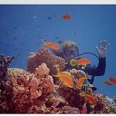 ���� ������, ������ - ��������� 23 ������� 2016 � ������ ����� ��� �������