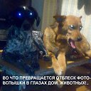 ��� ������ - ������������ 1 (09.02.2015) �� ������� ������� �