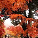 ���� �������, ����� - ��������� 31 ������� 2016 � ������ ���� ����������