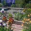 ���� �����, ������� - ��������� 29 ����� 2017 � ������ ���� ������� ����