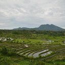 ���� ����, ����, 50 ��� - ��������� 23 ������ 2016 � ������ �indonesia�