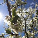 ���� ���������, ������ - ��������� 31 ������ 2017 � ������ ������ ��������