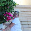 ���� ������, ������� - ��������� 14 �������� 2016 � ������ ���� ����������