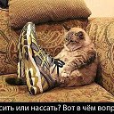 ���� ��������, �����-��������� - ��������� 23 ����� 2017 � ������ ������ ��������