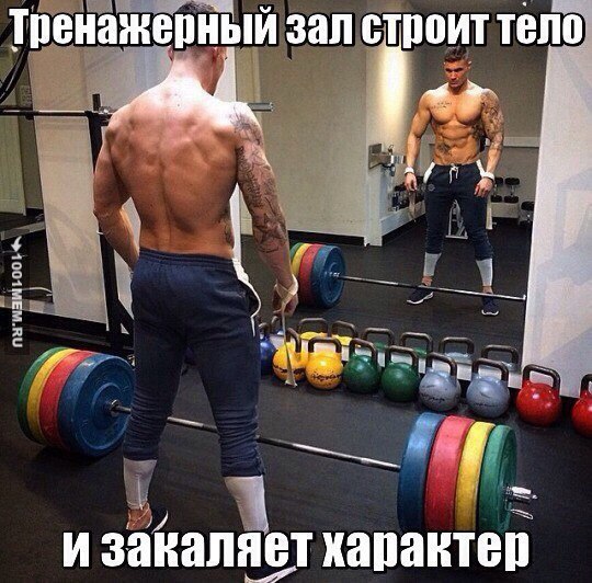  -   - 10  2016  04:03