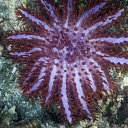 ������������ ���������� ����� ������� ������ �������� �����. �� ������� ���� ����������