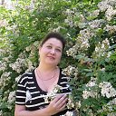 ���� �����, ������, 53 ���� - ��������� 31 ������� 2016