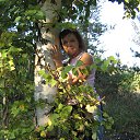 ���� �����, ������������, 53 ���� - ��������� 5 ������� 2016 � ������ ���� ����������