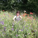 ���� Tamriko, ������ - ��������� 13 ������� 2016 � ������ ���� ����������