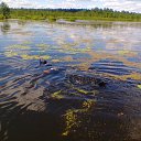 ���� ������, ������, 62 ���� - ��������� 12 �������� 2016 � ������ ���� ����������