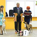 ��� ������ � ���������) BEST�, �������� ����� *����*, 13.11.2016, ������ �� ������� ���� �������