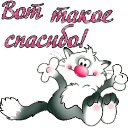 ���� Semki Stas, ��������, 42 ���� - ��������� 29 ������ 2016 � ������ ���� ����������