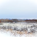 ���� ������, �������� - ��������� 5 ������ 2017 � ������ ���� ����������