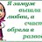 ���� �������, ������ �������� - ��������� 3 ������� 2016