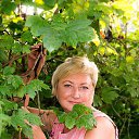 ���� ������, �����������, 62 ���� - ��������� 12 ������� 2016 � ������ ���������� ������