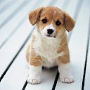 ���� ��������, ����� - ��������� 5 ������� 2016 � ������ ������ ��������