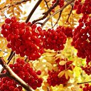 ���� �������, �������� - ��������� 3 ������� 2016 � ������ ���� � ����� � �������� ���������.�