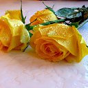 ���� �������, ���� - ��������� 7 ������� 2016 � ������ ������ ��������