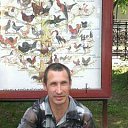      ,  , 50  -  12  2016   ߻