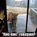 ���� Nodirbek, �����-���������, 39 ��� - ��������� 30 ������� 2016 � ������ ���� ����������