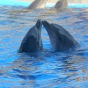 ���� �������, ������ - ��������� 10 ������� 2016 � ������ ������ ��������