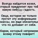 ���� ����, ������� - ��������� 17 ����� 2017 � ������ ���� ����������
