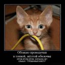 ���� Tosja, ����������, 51 ��� - ��������� 22 ����� 2017 � ������ ������ ��������