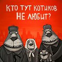 ���� �����, ���� - ��������� 21 ������� 2017 � ������ ���� ����������