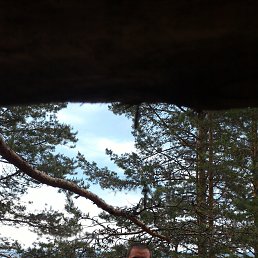 ���� �������, �����-���������, 40 ��� - ��������� 22 �������� 2016