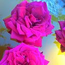 ���� ����, ���� - ��������� 2 ������� 2016 � ������ ������� ������