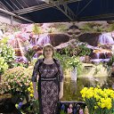 ���� �����, ������, 49 ��� - ��������� 19 ������� 2017 � ������ ���� ����������