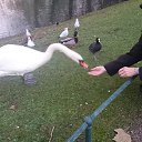 ���� �������, �������, 52 ���� - ��������� 20 ������� 2016 � ������ ���� ����������