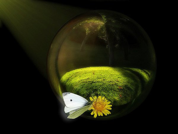 ))). Monuela Moya "Expecty" Monuela Moya "Expecty" ... - 12