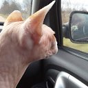 ���� ����������, �����-��������� - ��������� 24 �������� 2016 � ������ ���� ����������