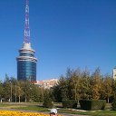 ���� �����, �����, 40 ��� - ��������� 23 ������ 2016 � ������ ���� ����������