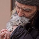 ���� ����, ������������, 58 ��� - ��������� 15 ������� 2017 � ������ ������ ��������