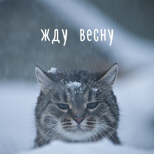  - 5  2017  22:30
