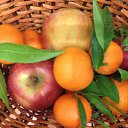  ♥ Fly ♥,  -  3  2016   