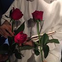 ���� ������, ��������, 71 ��� - ��������� 28 ������� 2017 � ������ ���� ����������