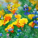 ���� �����, ����������� - ��������� 3 ������ 2017 � ������ ���� ����������