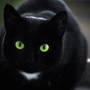 ���� �����, �����-��������� - ��������� 17 ������ 2016 � ������ ���� ����������