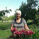 ���� ������, ����������, 68 ��� - ��������� 28 ������� 2016 � ������ ���� ����������