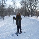  , , 54  -  15  2017    .